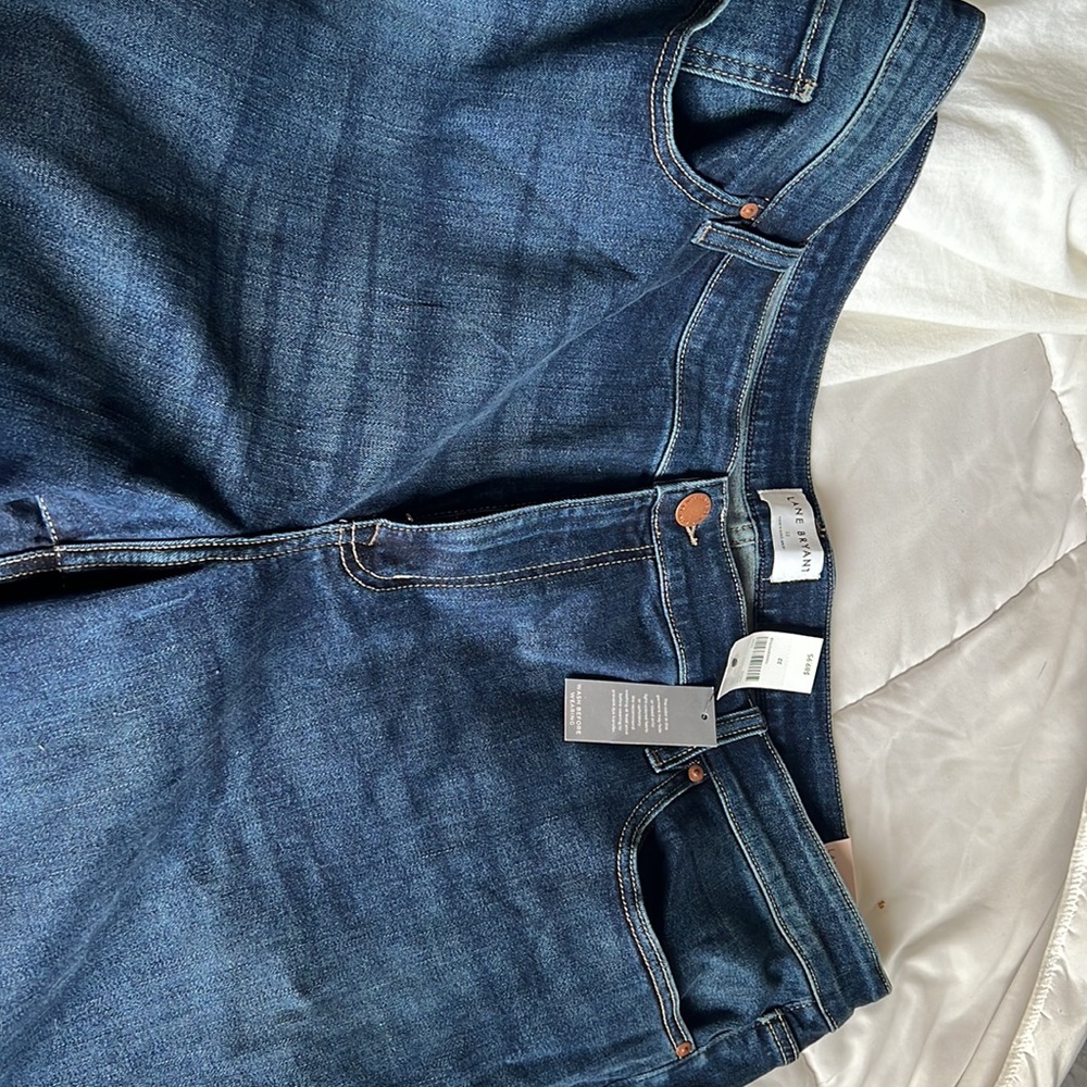 size 22 lane bryant jeans . - Picture 4 of 5